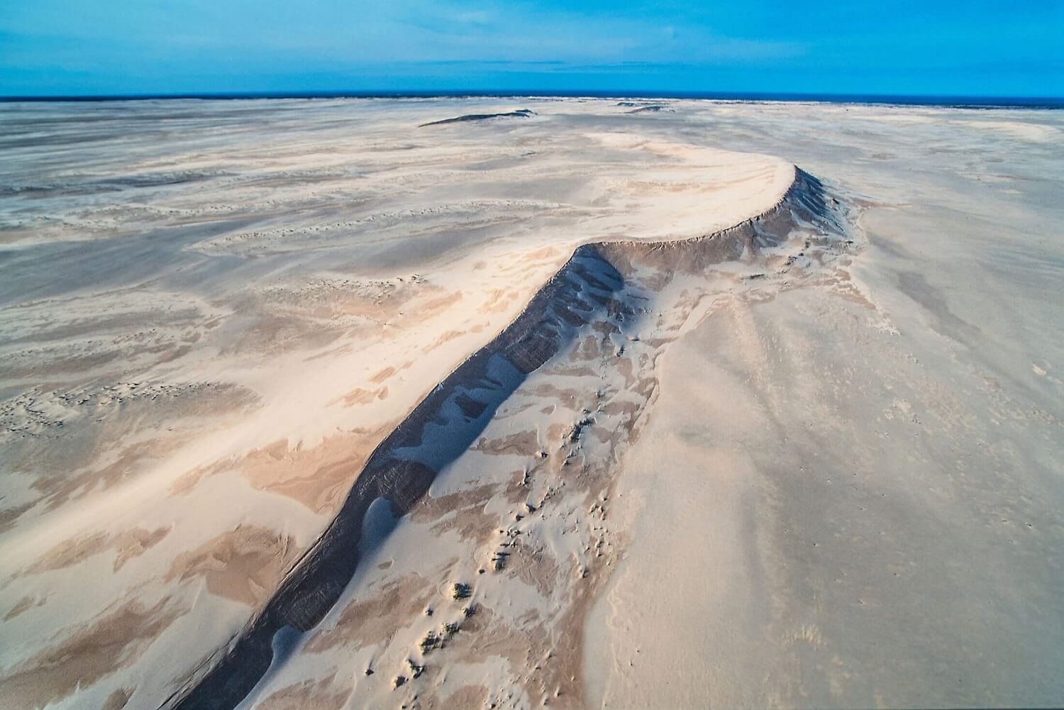 Athabasca Sand Dunes, Saskatchewan