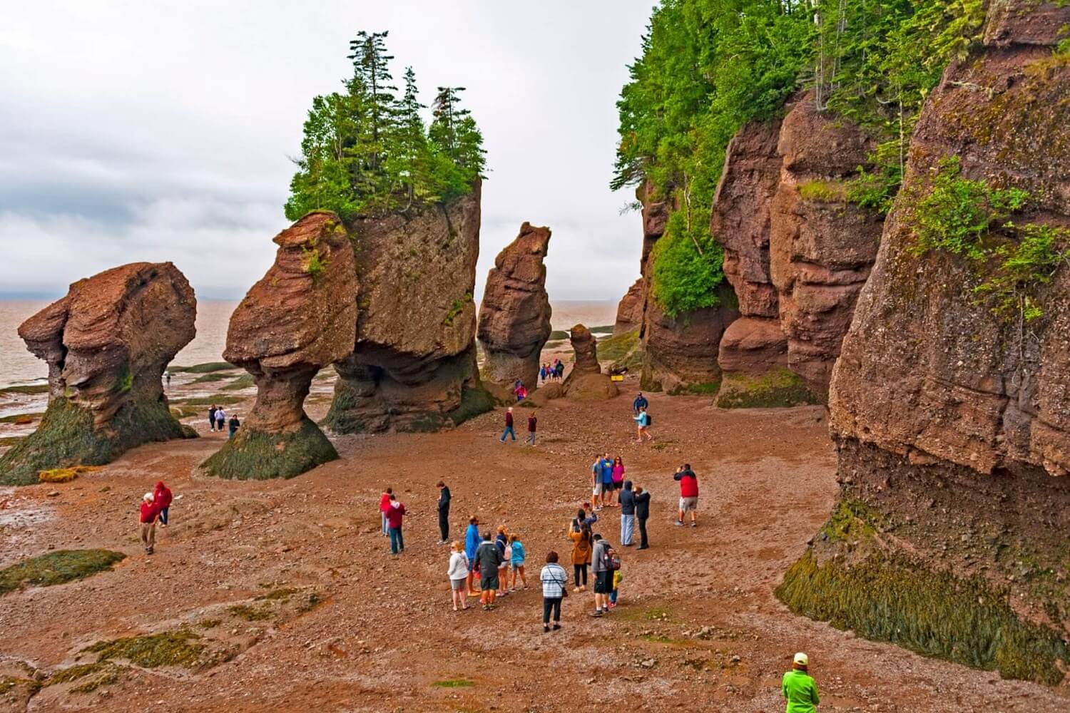 Petroglyph, Fundy National Park of New Brunswick